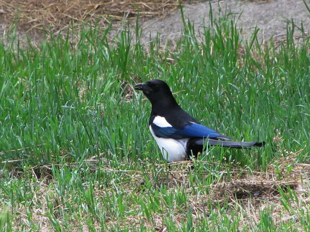 ������- �������� ����� ������ ���� �� PhotoGeek.ru #�������� ���