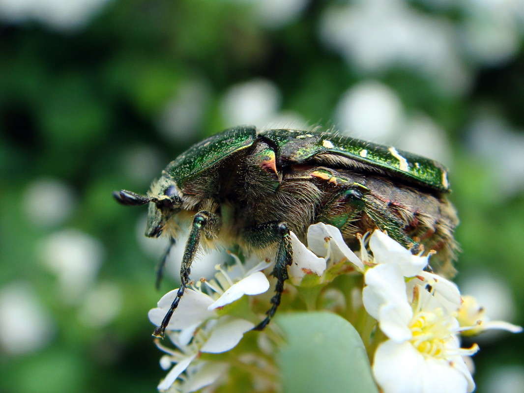 ��������� ����� ������ ���� �� PhotoGeek.ru #�����