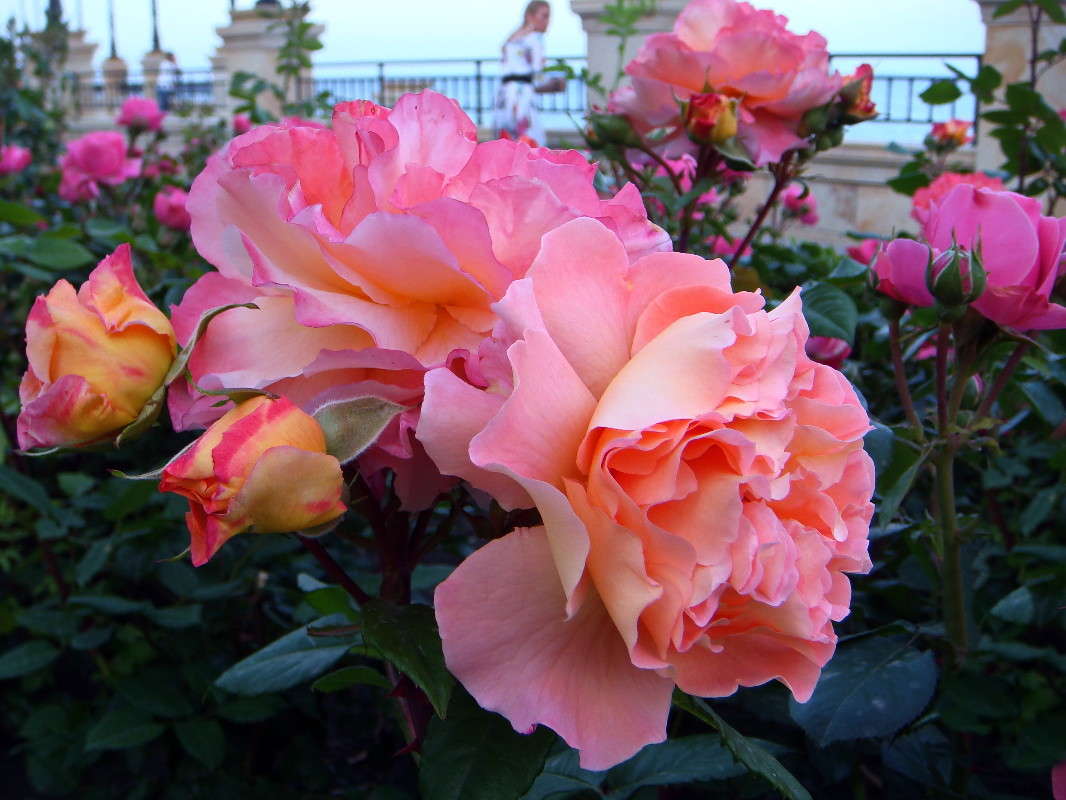 ���� �������� ������� ����� ������ ���� �� PhotoGeek.ru #������ ��� �������