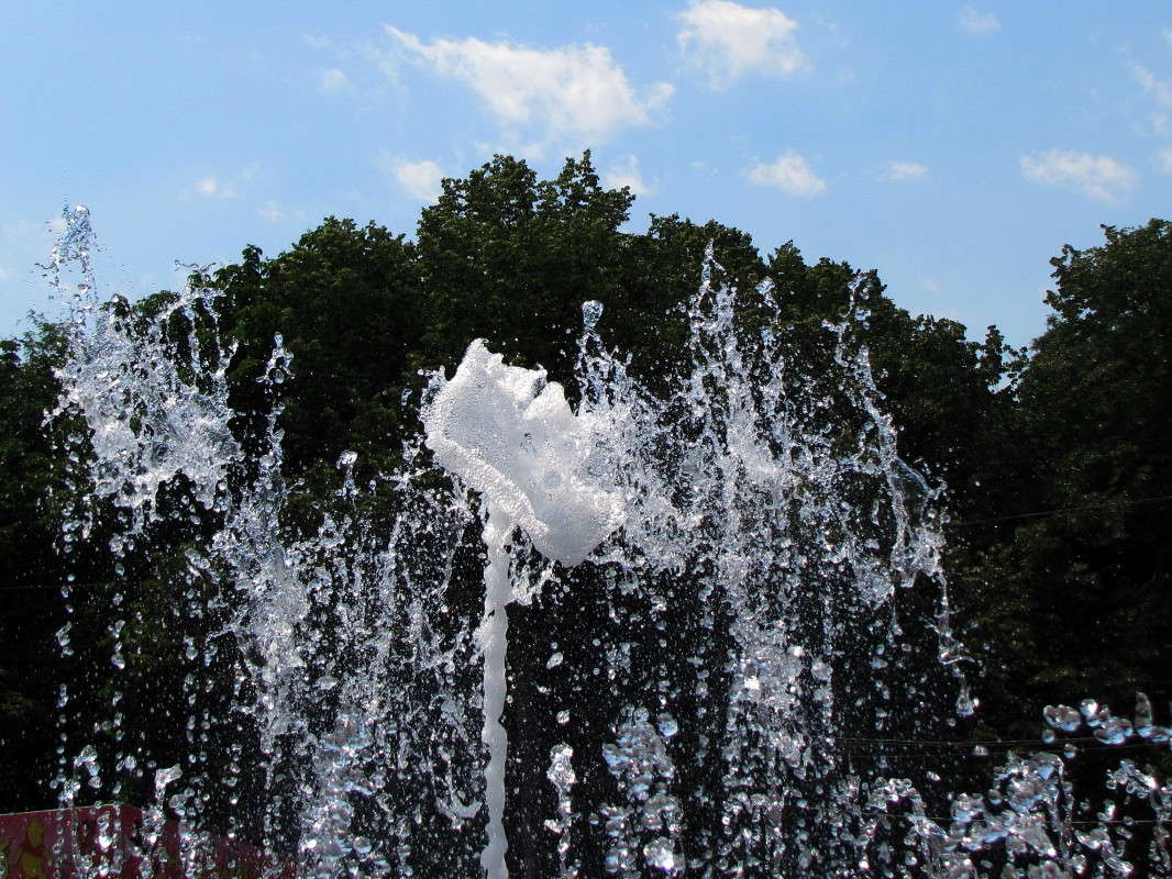 ������� ������ ����� ������ ���� �� PhotoGeek.ru #�����