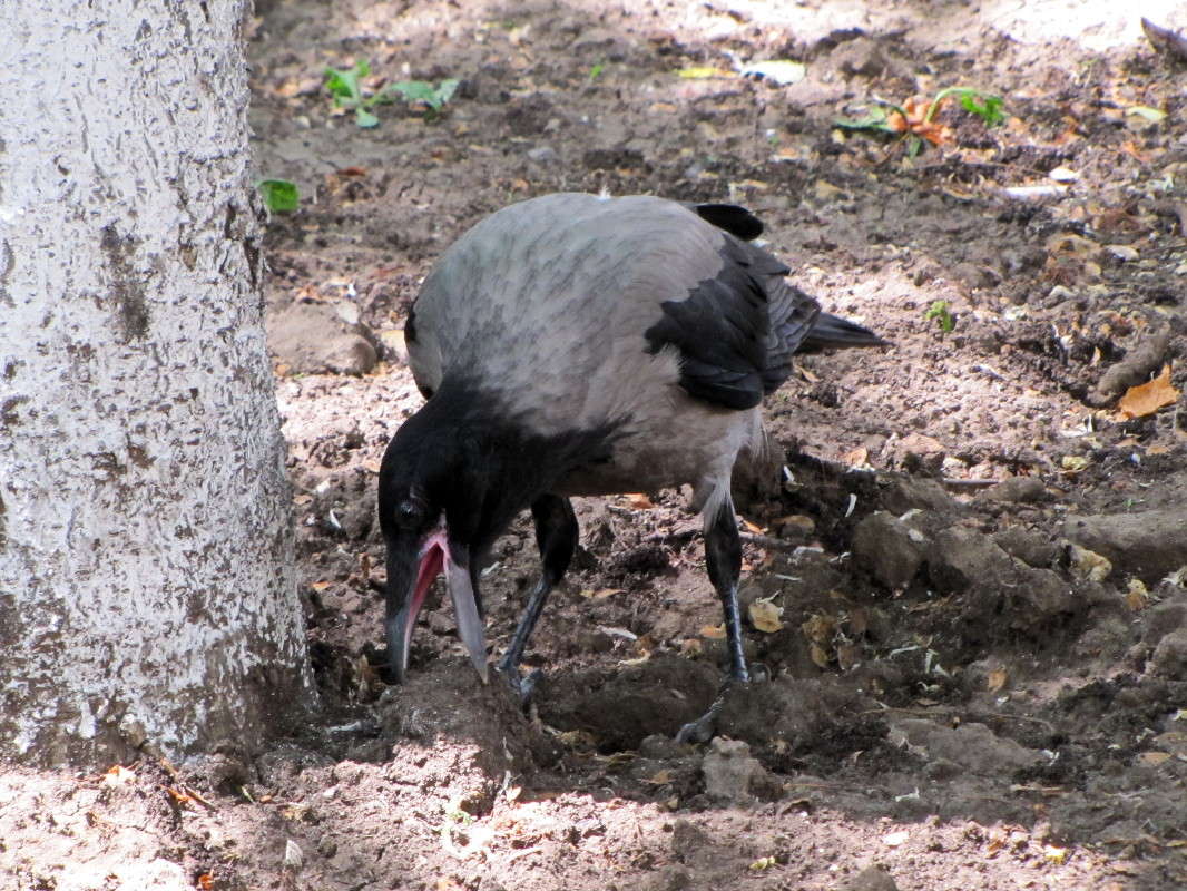 ������� ������ ����� ������ ���� �� PhotoGeek.ru #�������� ���