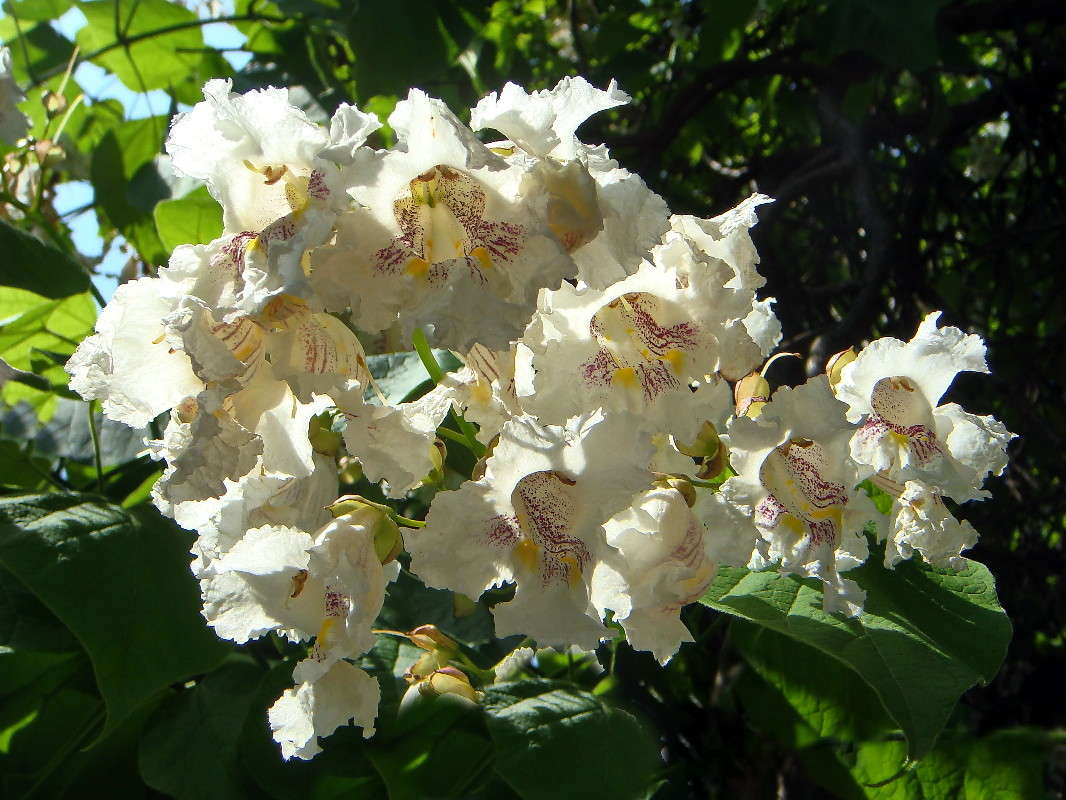 �������� ������ ����� ������ ���� �� PhotoGeek.ru #������ ��� �������