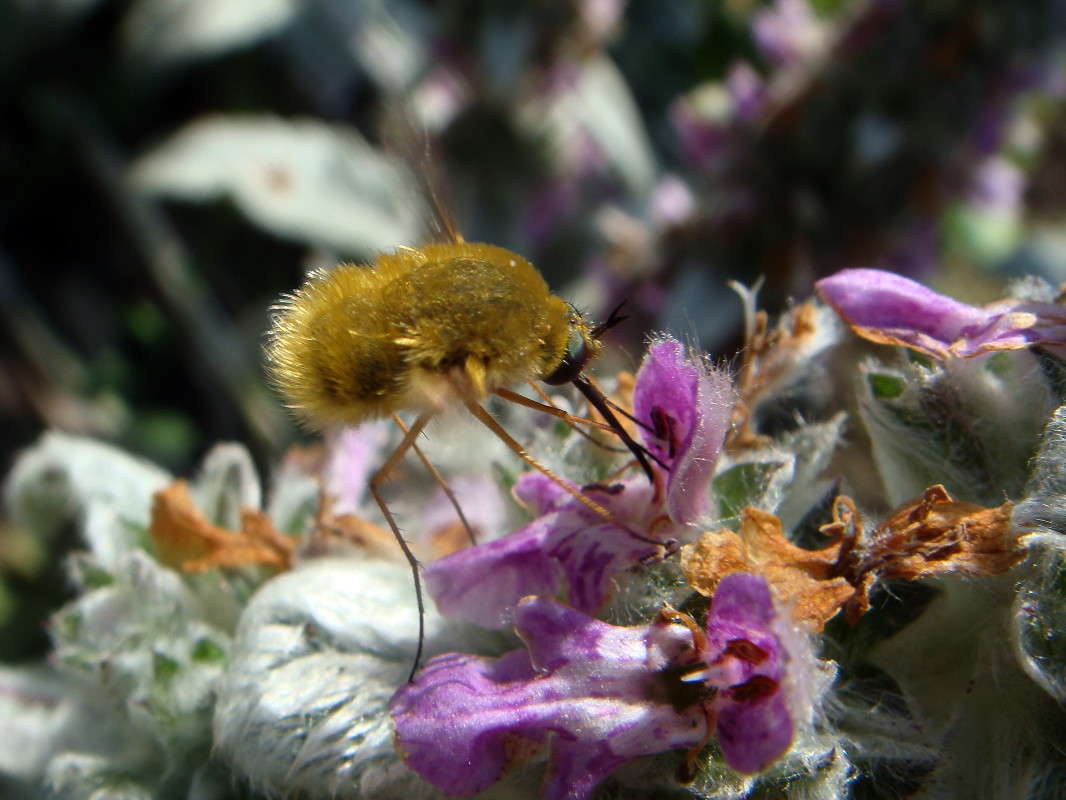 �������� �������� ����� ������ ���� �� PhotoGeek.ru #�����