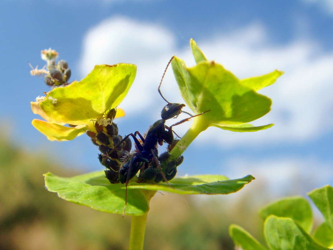 ������ ����� ������ ���� �� PhotoGeek.ru #�����