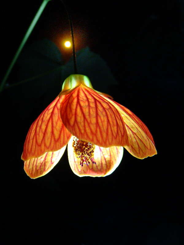 ���������� ��� ���������� ����� ������ ���� �� PhotoGeek.ru #�������� ����������