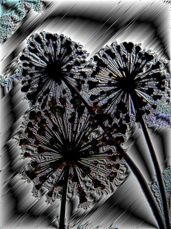 ���������� ���������� ����� ������ ���� �� PhotoGeek.ru #�������� ����������