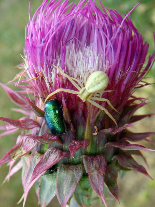 ������� ����� ����� ������ ���� �� PhotoGeek.ru #�����