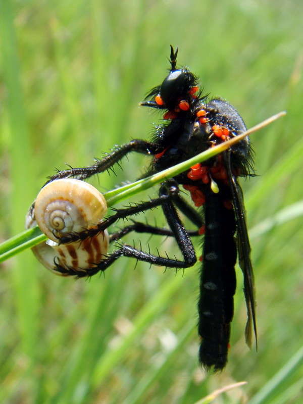 ����������� ��������� ����� ������ ���� �� PhotoGeek.ru #�����