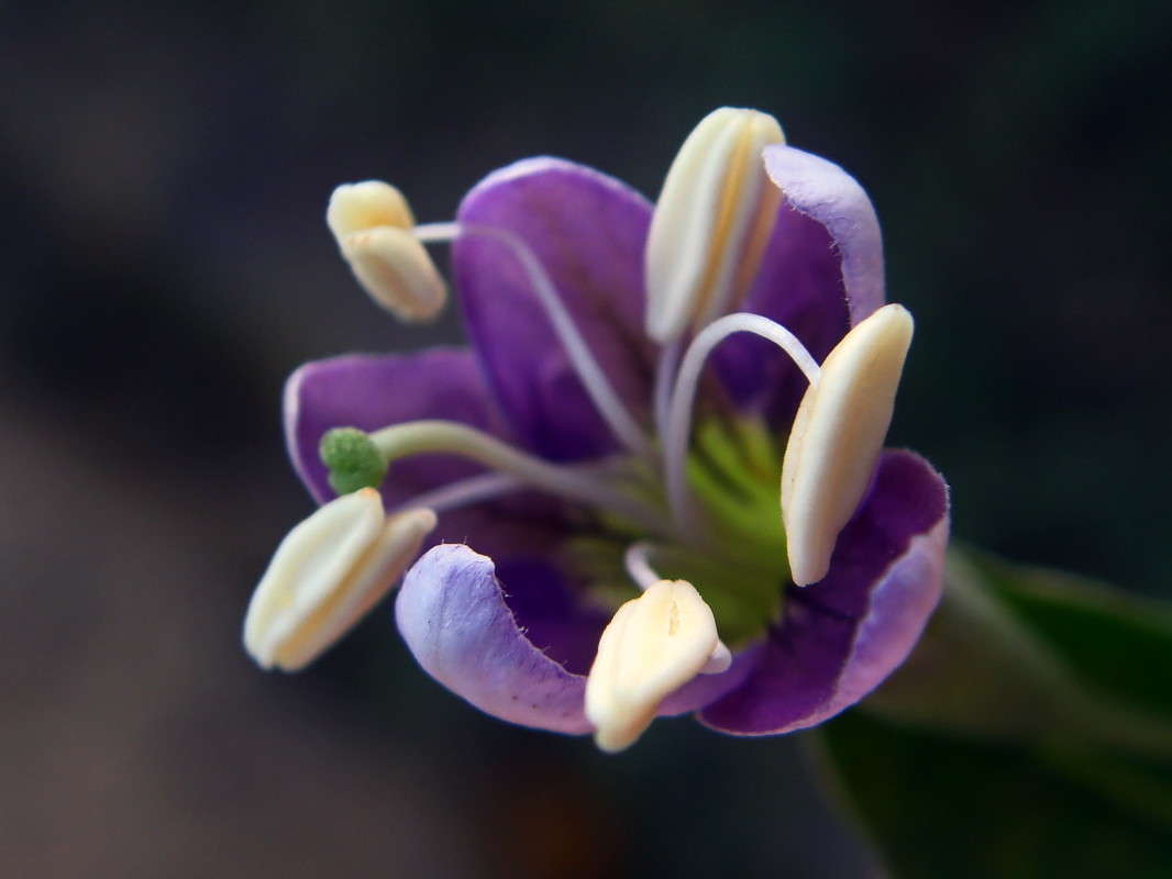 ��������� ����� ������ ���� �� PhotoGeek.ru #�����