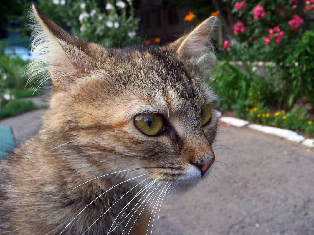 � ������ ���� ����� ��������� ����� ������ ���� �� PhotoGeek.ru #�������� ���