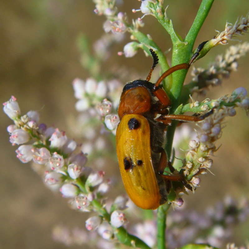 ����������� ����� ������ ���� �� PhotoGeek.ru #�����