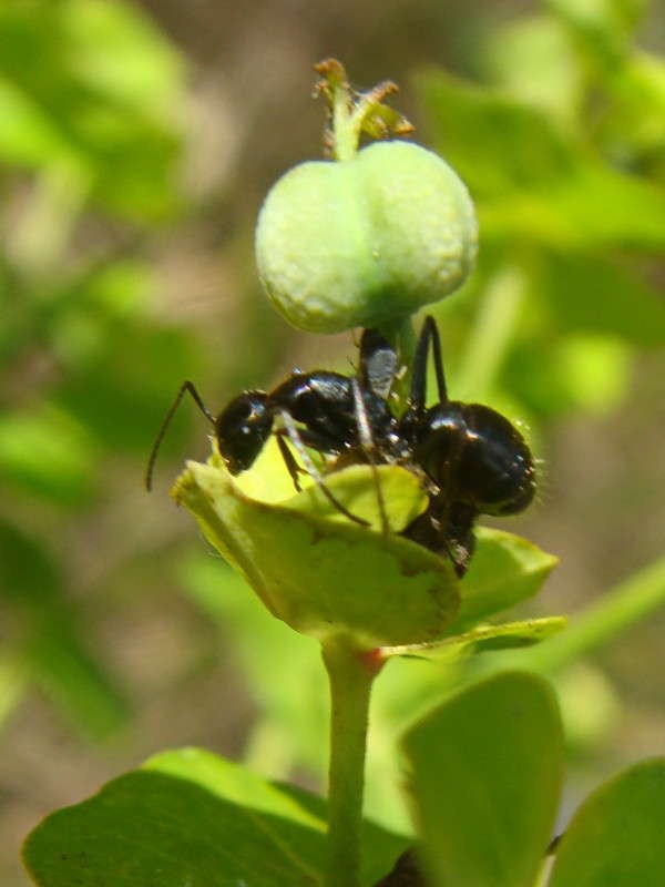 �� ���������� ����� ������ ���� �� PhotoGeek.ru #�����