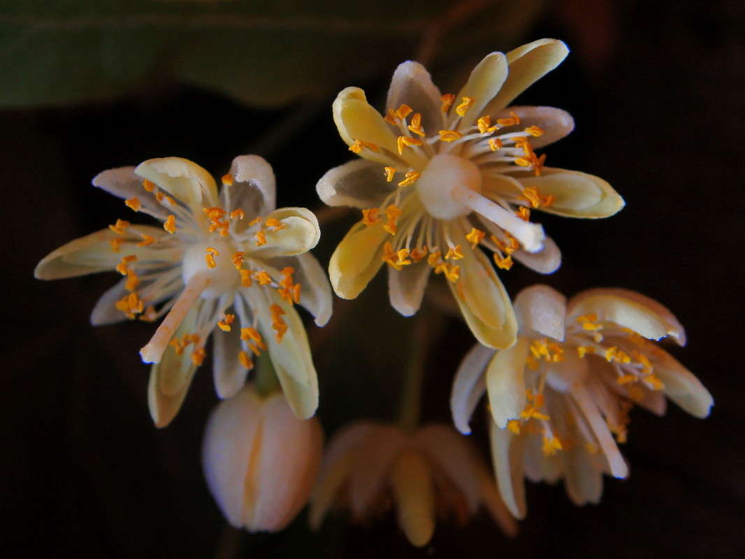 ������� ���� ����� ������ ���� �� PhotoGeek.ru #������ ��� �������