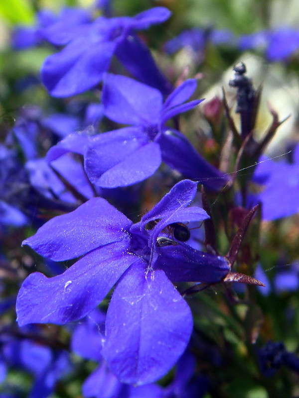 ����� �������� ����� ������ ���� �� PhotoGeek.ru #������ ��� �������