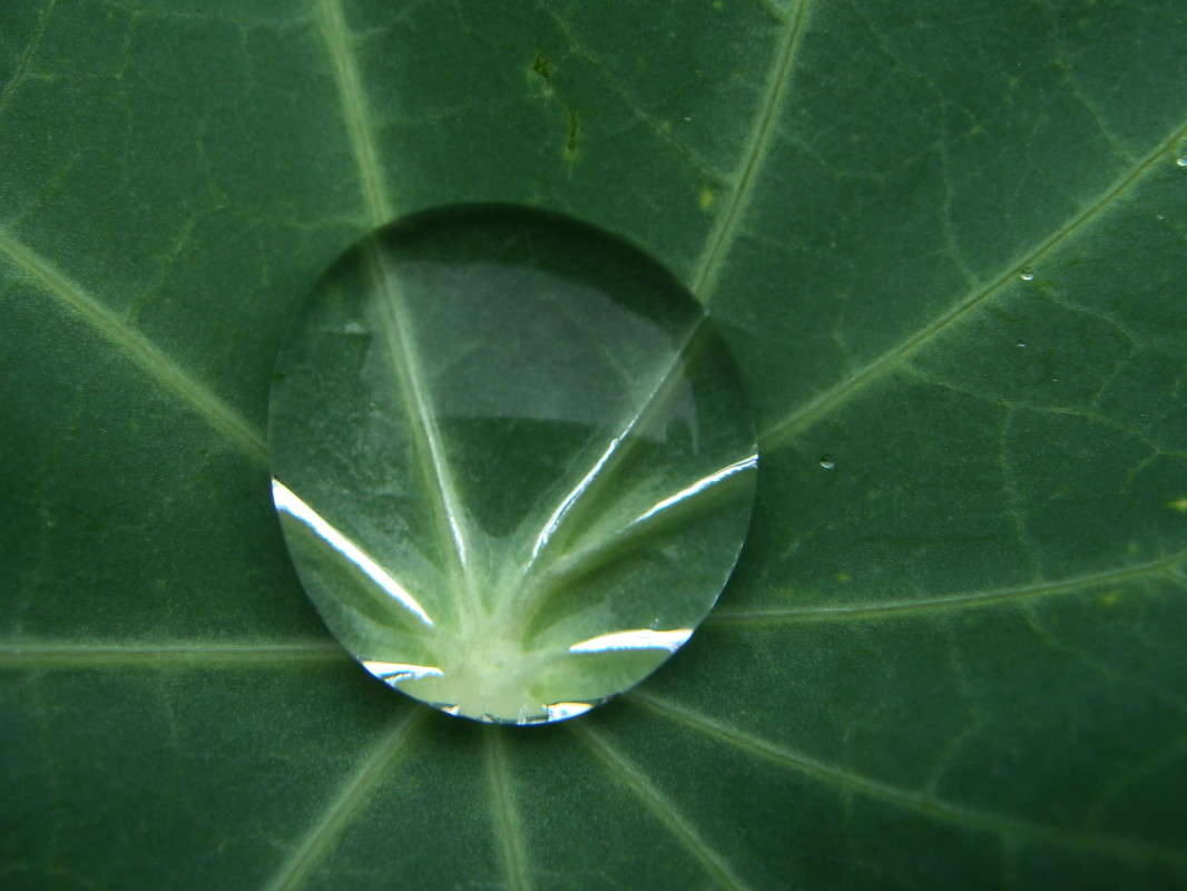 ������ ���� ����� ������ ���� �� PhotoGeek.ru #�����