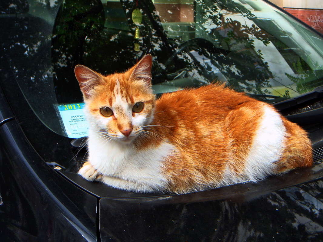 �� ����� " ����� ������ �����" ����� ������ ���� �� PhotoGeek.ru #�������� ���