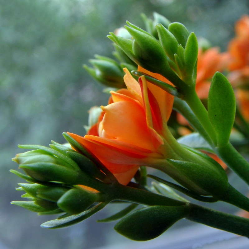 �������� ����� ������ ���� �� PhotoGeek.ru #������ ��� �������