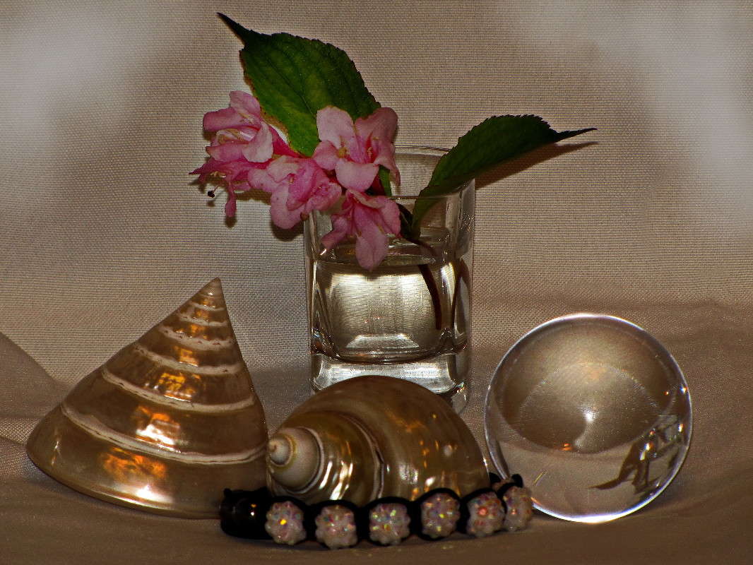 ��������� � ������ ����� ������ ���� �� PhotoGeek.ru #���������