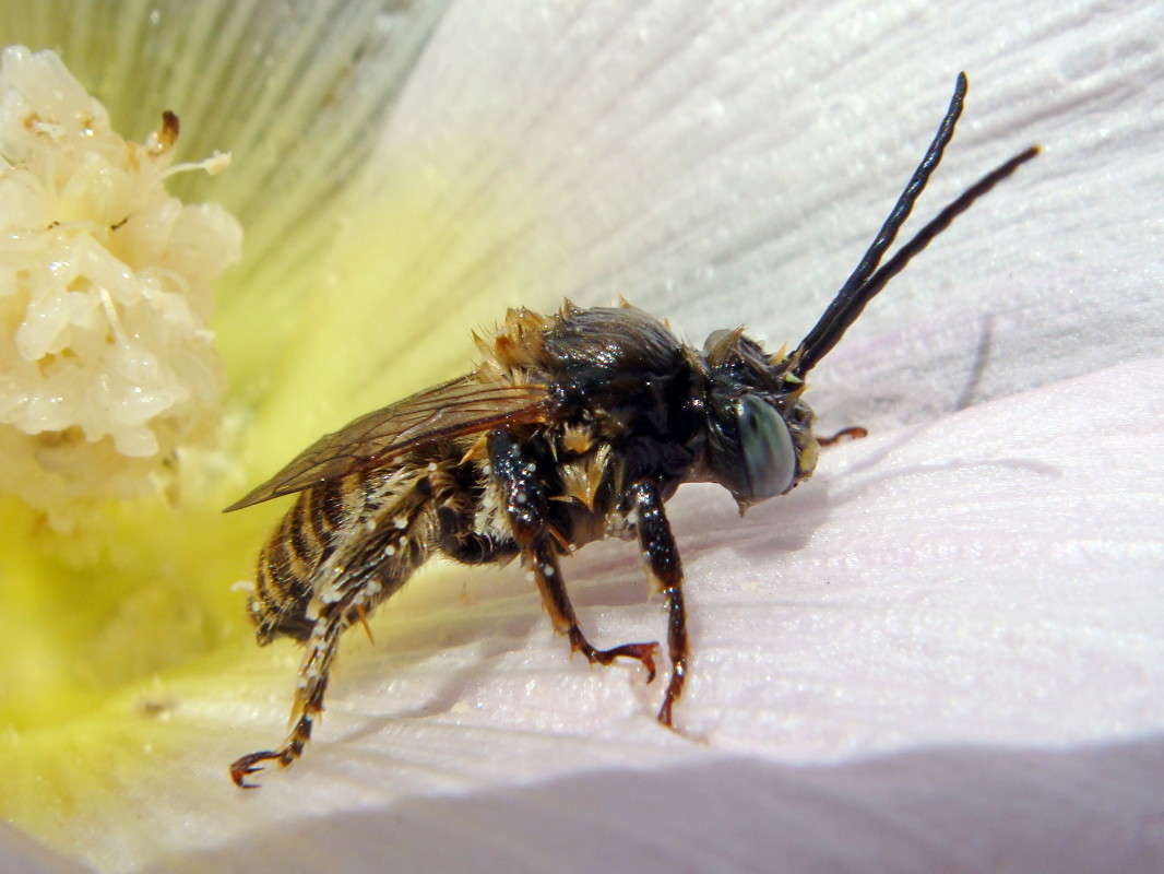 Dsvjrkf @ lj ybnrb@ ����� ������ ���� �� PhotoGeek.ru #�����