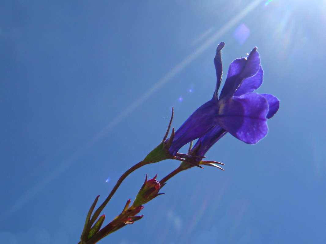 Yfdcnhtxe cjkywe ����� ������ ���� �� PhotoGeek.ru #������ ��� �������