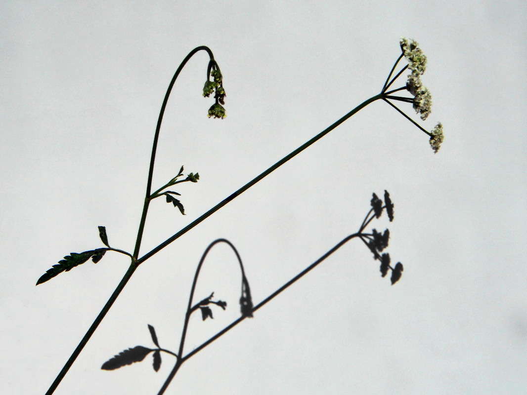 ���� � ����� ����� ������ ���� �� PhotoGeek.ru #������ ��� �������