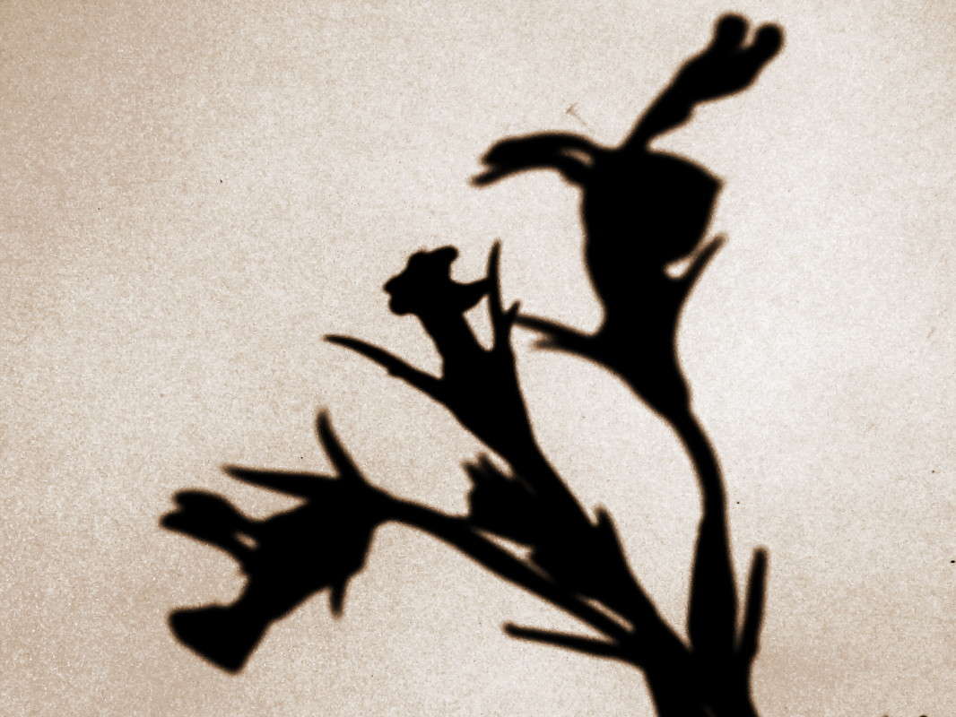 ����� ����� ����� ������ ���� �� PhotoGeek.ru #�����