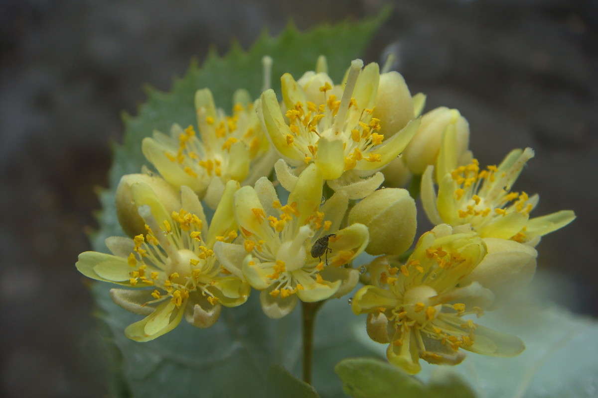 ���� ���� ����� ������ ���� �� PhotoGeek.ru #������ ��� �������