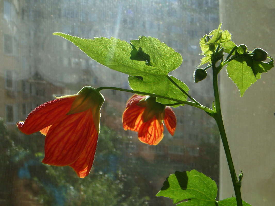 ������������ ���������� ����� ����� ������ ���� �� PhotoGeek.ru #������ ��� �������