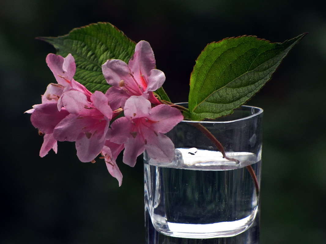 ������ � ������� ����� ������ ���� �� PhotoGeek.ru #���������