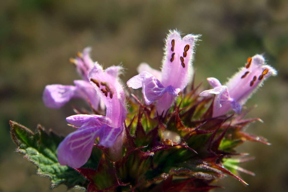 ����� �������� ����� ������ ���� �� PhotoGeek.ru #������ ��� �������