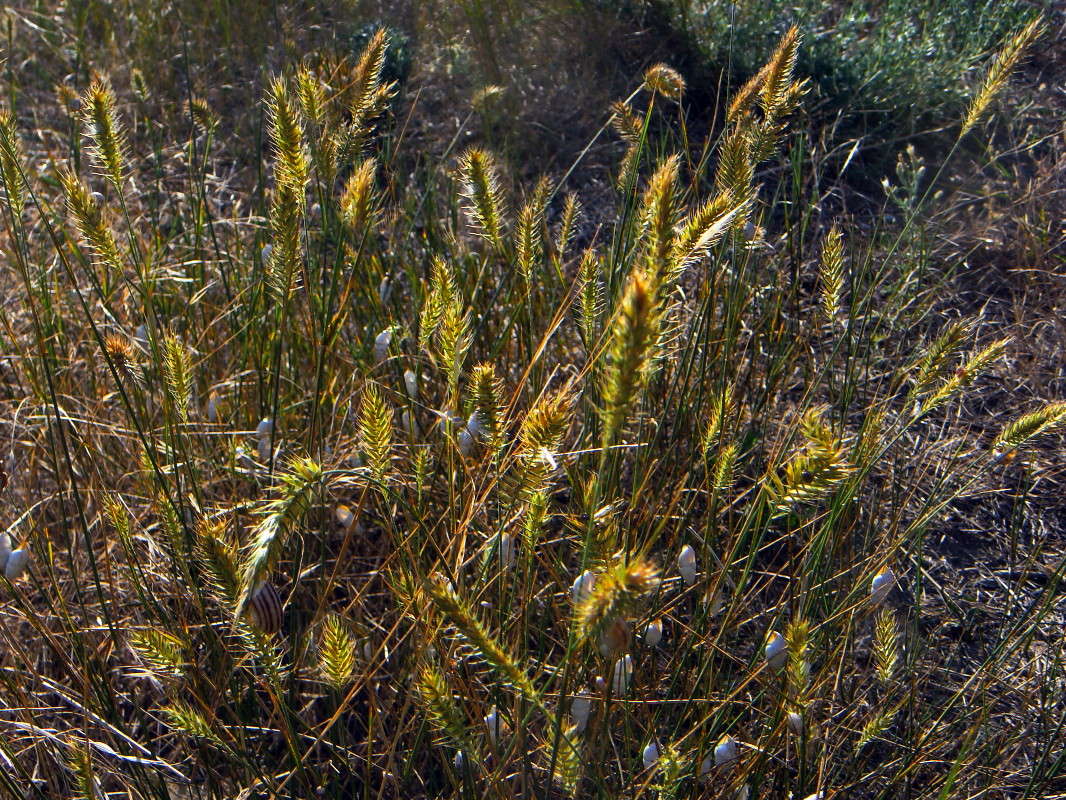 ������� ����� ������ ���� �� PhotoGeek.ru #������ ��� �������