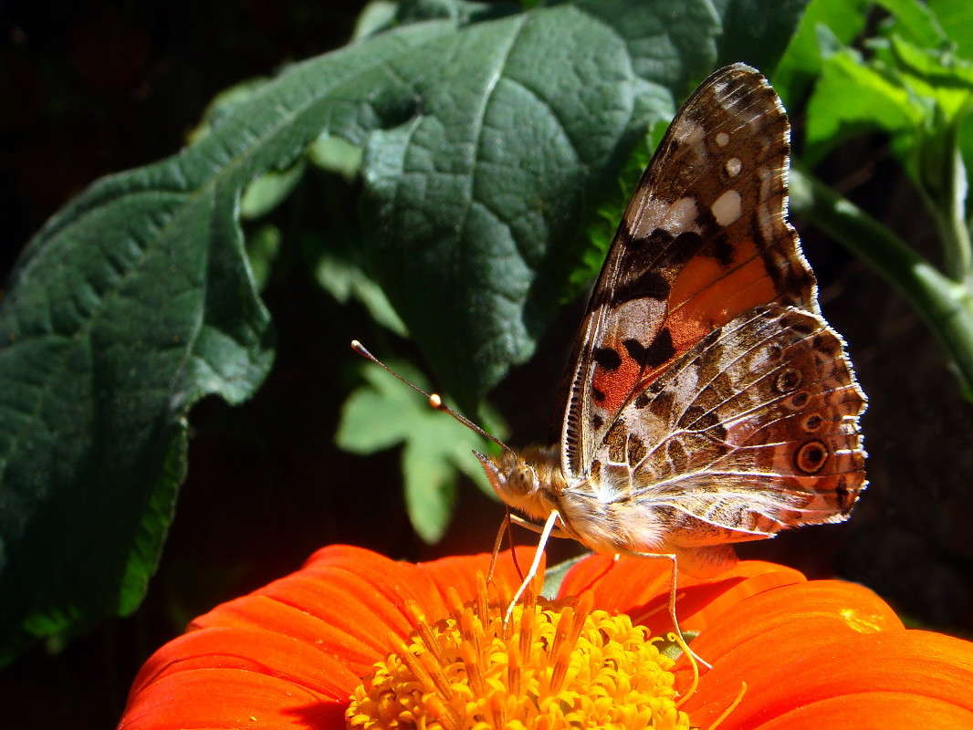 ���� ����� ������ ���� �� PhotoGeek.ru #�����