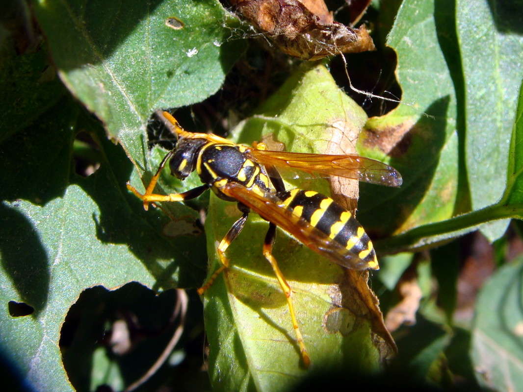 �� ������� ����� ������ ���� �� PhotoGeek.ru #�����