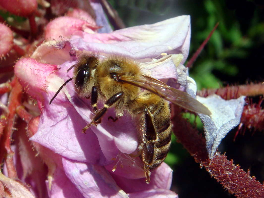 ����� ����� ������ ���� �� PhotoGeek.ru #�����