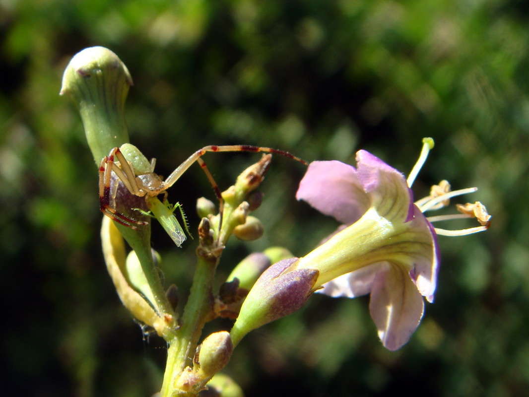 ������ � ��� ������ ����� ������ ���� �� PhotoGeek.ru #�����