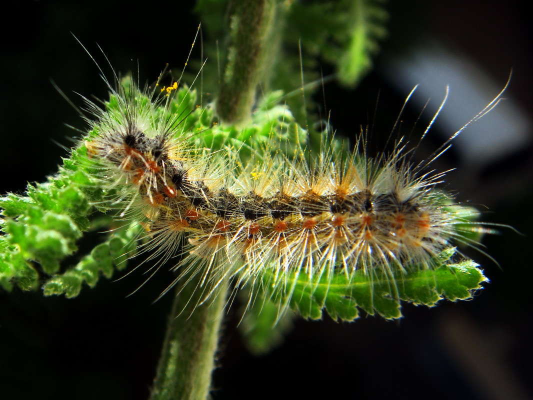 �������� ����� ������ ���� �� PhotoGeek.ru #�����