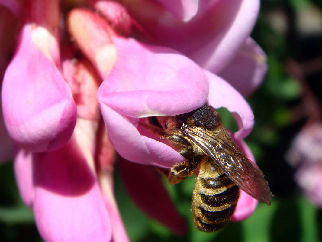 ******** ����� ������ ���� �� PhotoGeek.ru #�����