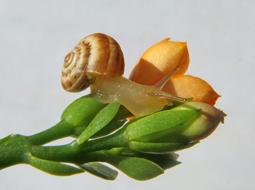 �������� ����� ������ ���� �� PhotoGeek.ru #�����