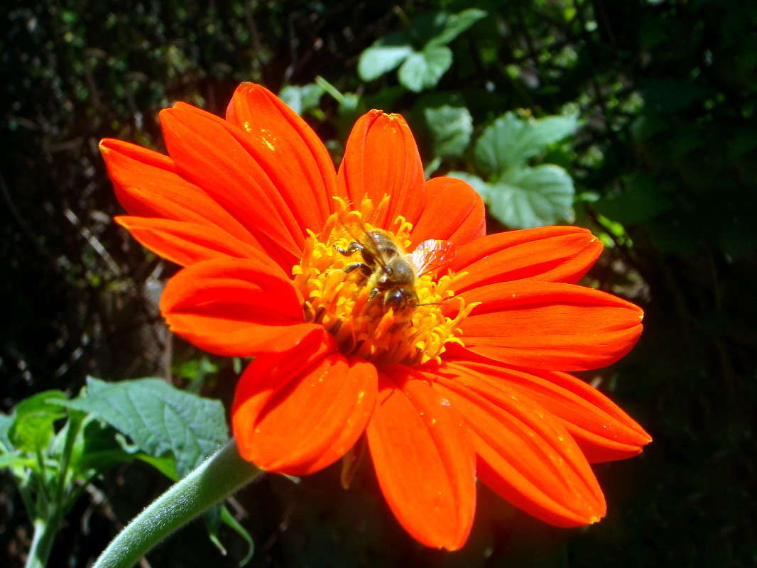 �������� �������� ����� ������ ���� �� PhotoGeek.ru #������ ��� �������