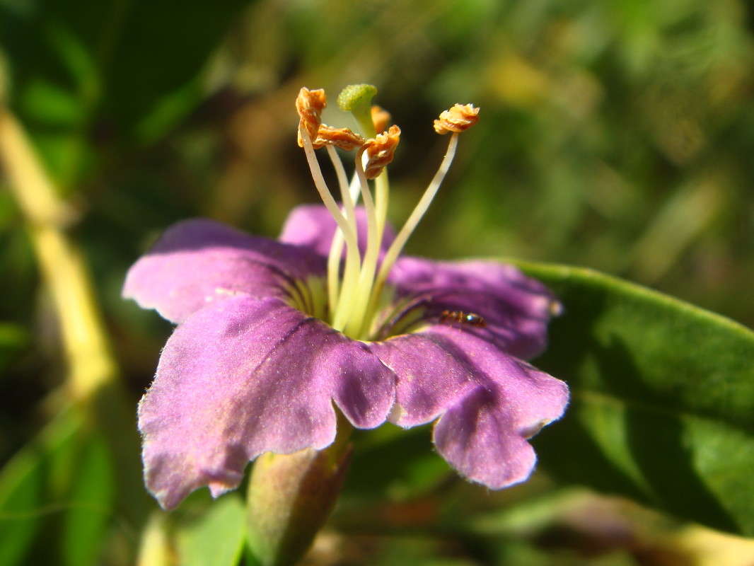 �����  ������� ������ ������� ����� ������ ���� �� PhotoGeek.ru #�����