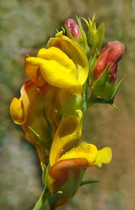 ������� ��� ����� ������ ���� �� PhotoGeek.ru #������ ��� �������