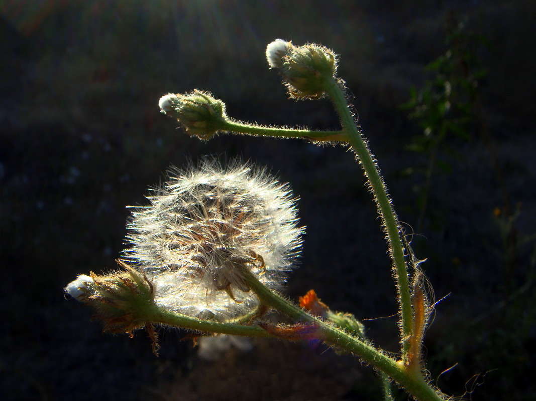 ����� ��������� ����� ������ ���� �� PhotoGeek.ru #������ ��� �������