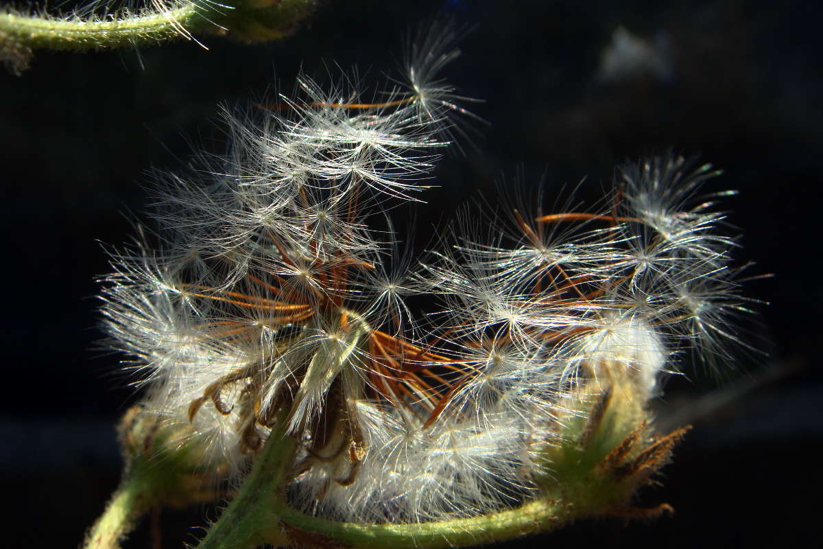 �� �������� ����� ������ ���� �� PhotoGeek.ru #������ ��� �������