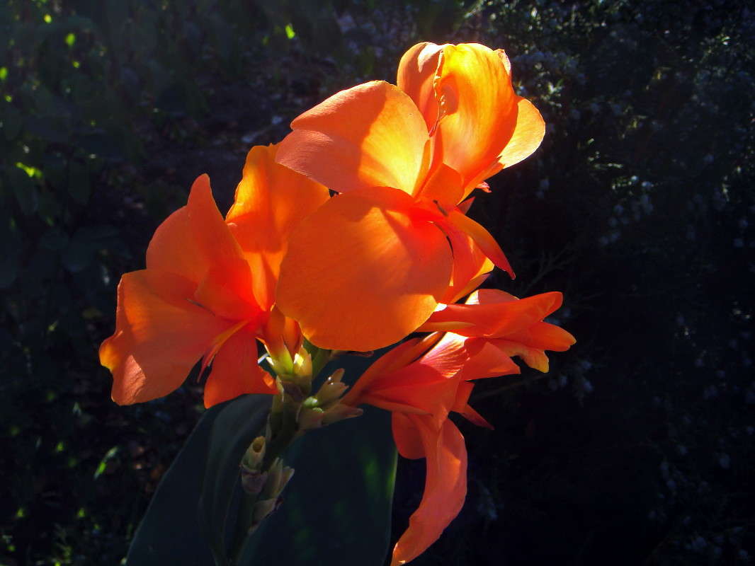 ��������� ������� ����� ������ ���� �� PhotoGeek.ru #������ ��� �������