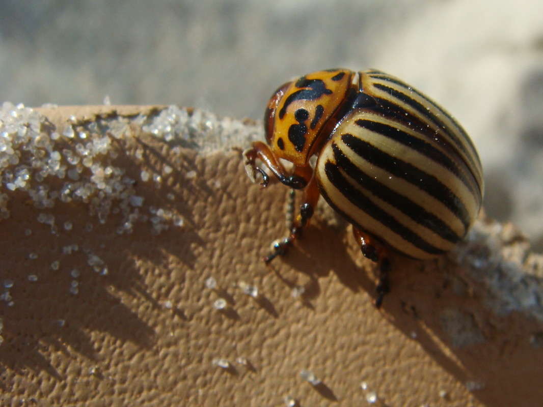 ��������� ����� ������ ���� �� PhotoGeek.ru #�����