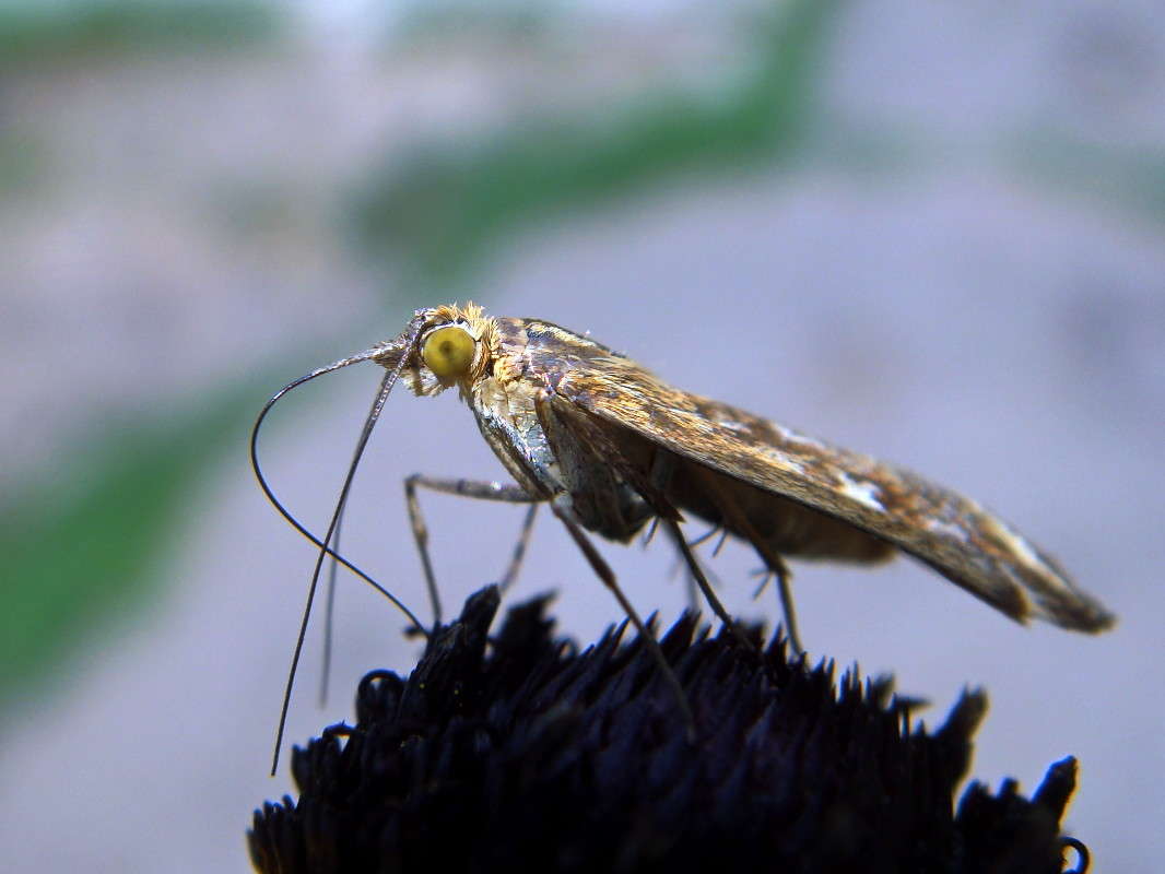 ��� ����� ����� ������ ���� �� PhotoGeek.ru #�����