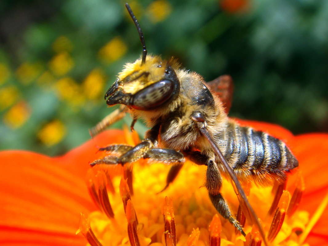 ������ ������ ����� ������ ���� �� PhotoGeek.ru #�����