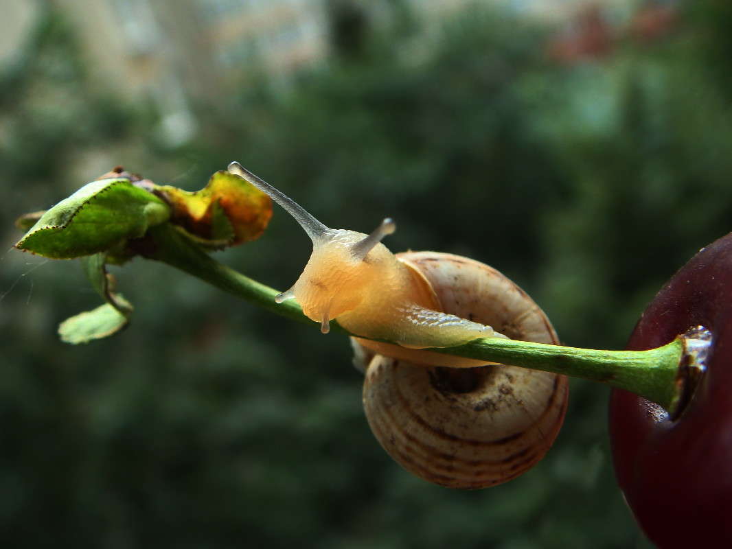 ����������� �������� ����� ������ ���� �� PhotoGeek.ru #�����