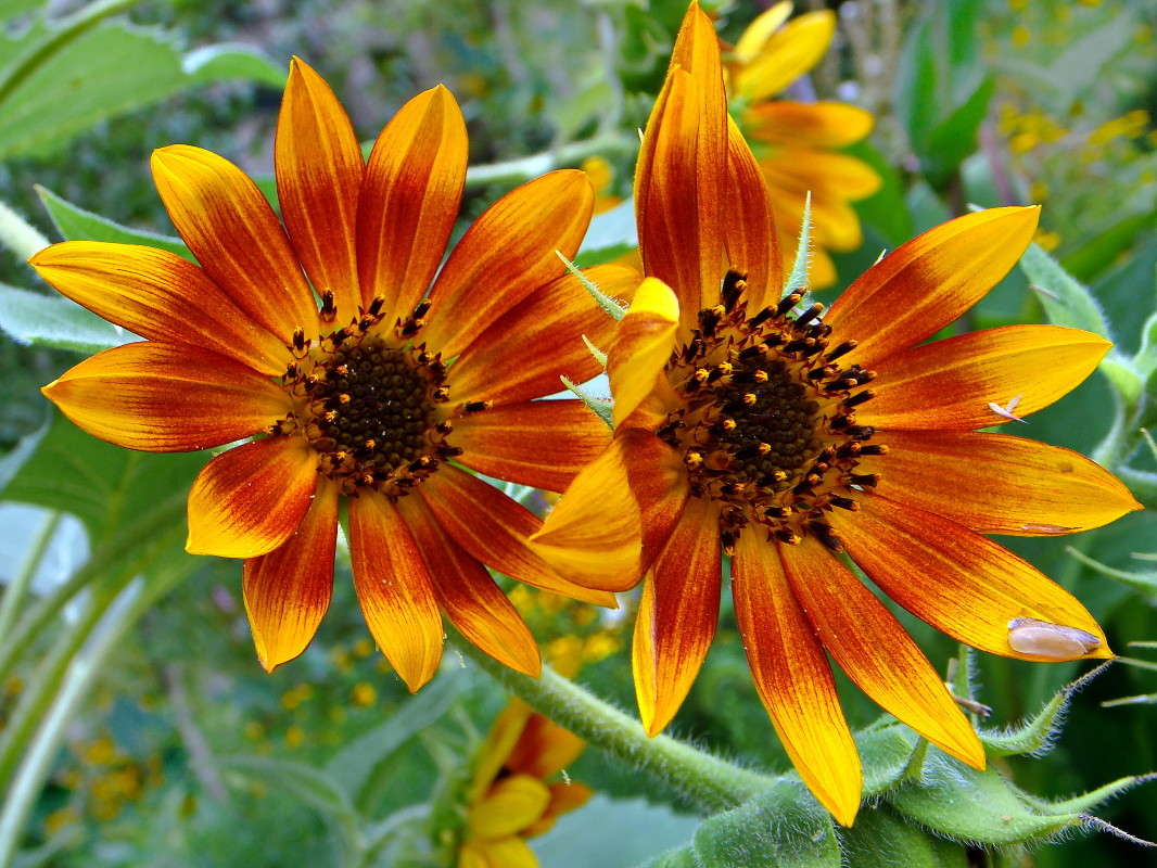 ����� ������� ����� ������ ���� �� PhotoGeek.ru #������ ��� �������