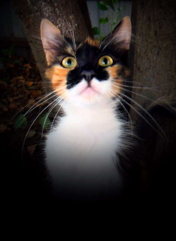 ���� �� ����� ������ ����� ������ ���� �� PhotoGeek.ru #�������� ���